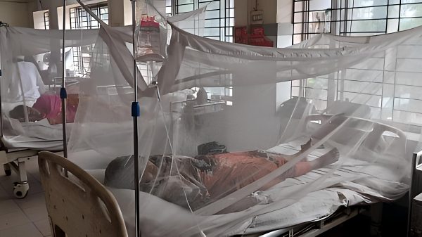 দাউদকান্দিতে ডেঙ্গু
