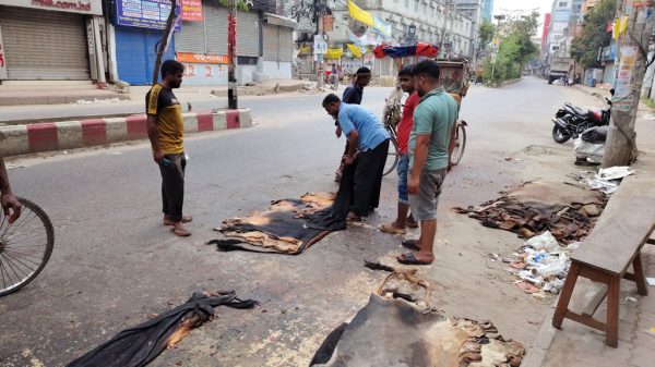 বগুড়ায় চামড়ার বাজারে ধস: অসংখ্য চামড়া অবিক্রীত, ব্যবসায়ীরা ক্ষতিতে
