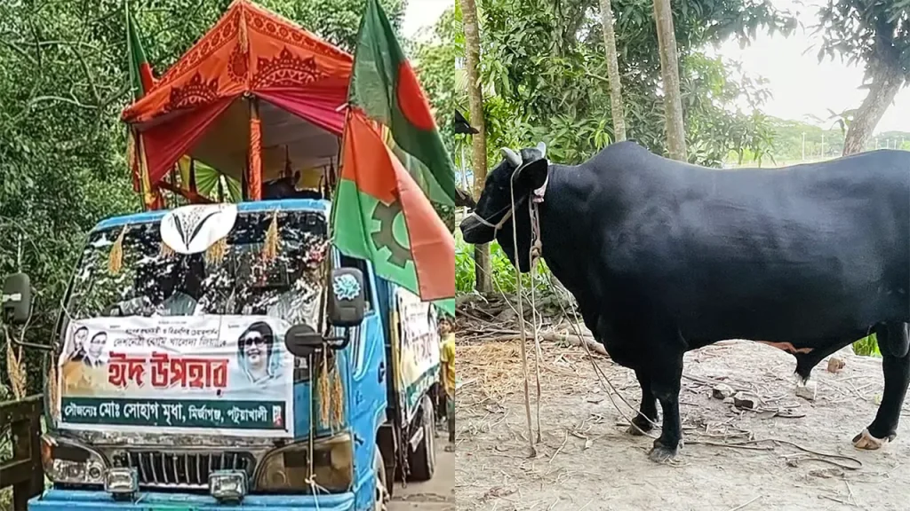 খালেদা জিয়াকে ষাঁড় উপহার, রওনা সোহাগের