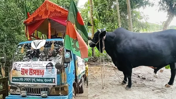 খালেদা জিয়াকে ষাঁড় উপহার, রওনা সোহাগের
