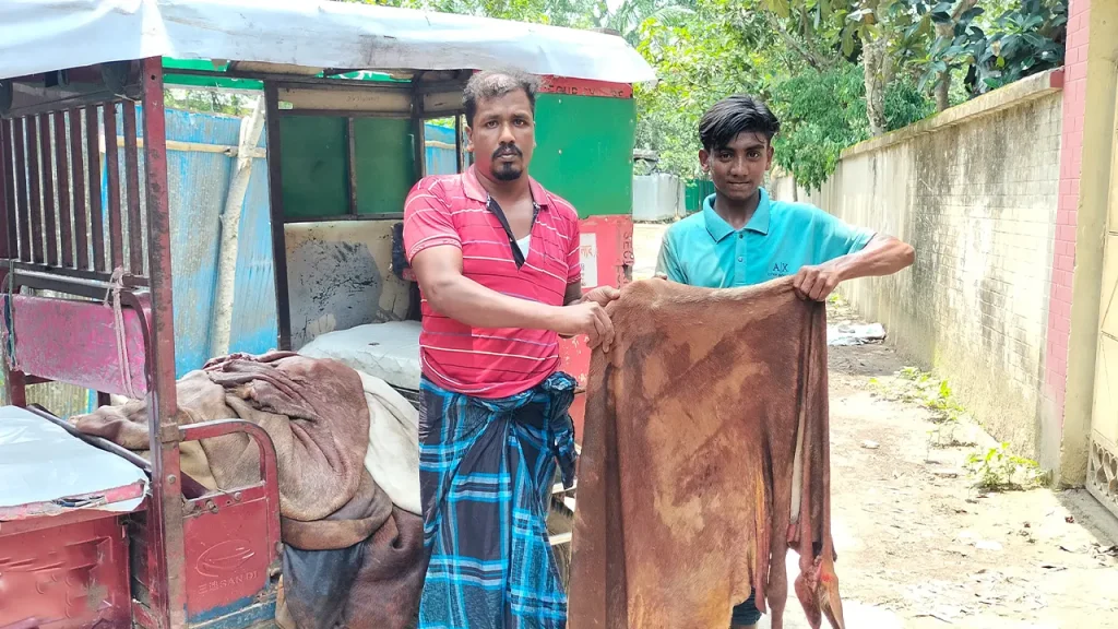 গরুর চামড়া ২০০ টাকায়!
