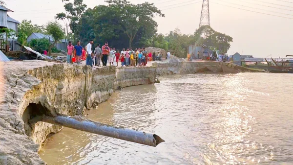 পদ্মা সেতু প্রকল্পের রক্ষা বাঁধে ভয়াবহ ধস: ঈদের আনন্দে কান্নার রূপ