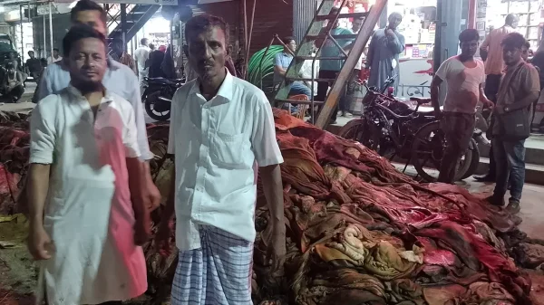 দুদিনেও চামড়ার ক্রেতা নেই, দিশাহারা ফেনীর ক্ষুদ্র ব্যবসায়ীরা