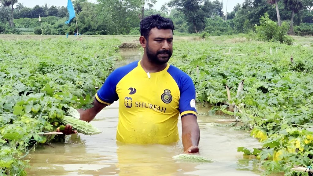 ফসল তোলার মুহূর্তে গোমতীর পানিতে ভেসে গেল কুমিল্লার ১১ হাজার হেক্টর কৃষিজমি