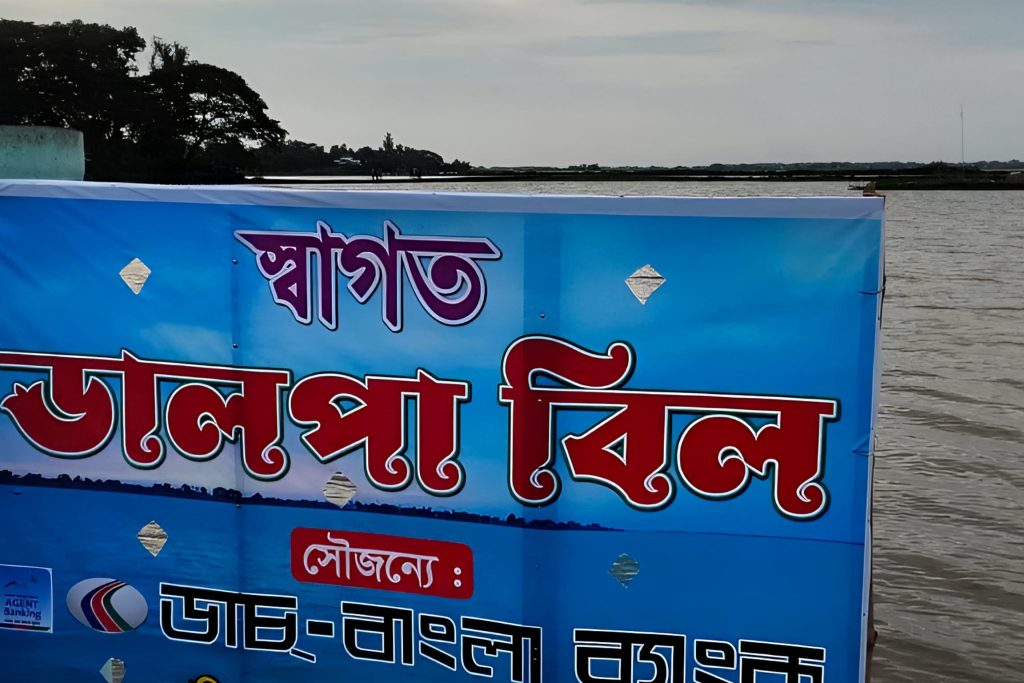 স্বর্গের ছোঁয়া কুমিল্লার ডালপা বিল: বর্ষায় সৌন্দর্যে ভাসছে প্রকৃতি
