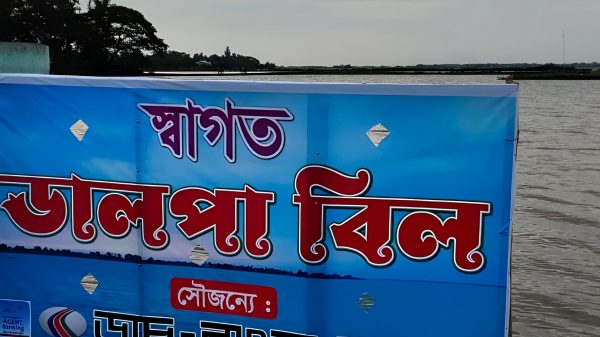 স্বর্গের ছোঁয়া কুমিল্লার ডালপা বিল: বর্ষায় সৌন্দর্যে ভাসছে প্রকৃতি