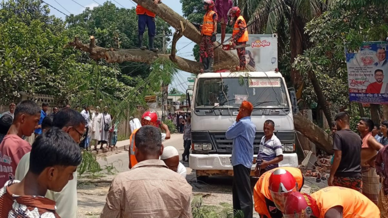 ঝড়-বৃষ্টি ছাড়াই গাছ উপড়ে মহাসড়কে, কুমিল্লা-সিলেট সড়কে ৩ ঘণ্টা যান চলাচল বন্ধ 1 গাছ উপড়ে পড়ে