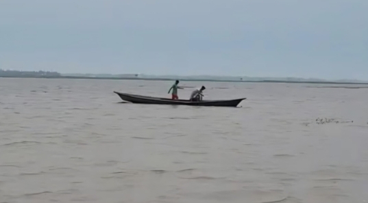 কিশোরগঞ্জের হাওরে নৌকাডুবি, ধান কাটতে গিয়ে শ্রমিক নিখোঁজ