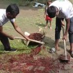 আমার গ্রাম আমার দায়িত্ব