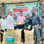 কুমিল্লায় কৃষকের কাছ থেকে সরাসরি বোরো ধান সংগ্রহ শুরু 3 কুমিল্লায় বোরো ধান সংগ্রহ