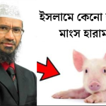ইসলামে শূকরের গোশত হারাম কেন 5 কেনো শূকরের মাংস হারাম 20260502 025424 0000
