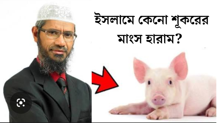 ইসলামে শূকরের গোশত হারাম কেন 1 কেনো শূকরের মাংস হারাম 20260502 025424 0000