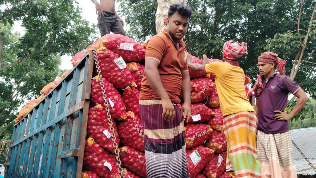 উৎপাদন খরচের অর্ধেক দামে পেঁয়াজ বিক্রি, ফরিদপুরে কৃষকের চোখে হতাশার ছাপ