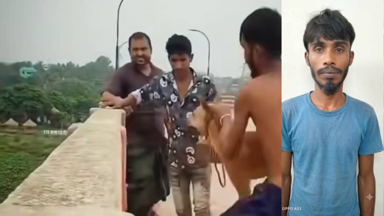 কুকুর নির্যাতন
