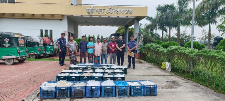 হাকালুকি হাওরে প্রশাসনের অভিযান: ৫৫০ কেজি পোনা মাছ জব্দ, জরিমানা ৫৫ হাজার টাকা 1 হাকালুকি হাওরে ৫৫০ কেজি পোনা মাছ জব্দ