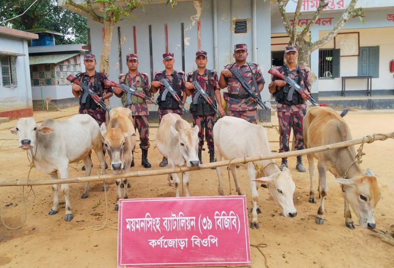 শেরপুর সীমান্তে ৫টি ভারতীয় গরু জব্দ