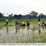 পঞ্চগড় সীমান্তে পুশইন