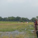 ৭০ ঘণ্টার অবসান, বড়বাড়ি সীমান্তের শূন্যরেখা থেকে ১০ জনকে সরিয়ে নিল বিএসএফ 2 বড়বাড়ি সীমান্ত