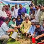 নন্দীগ্রামে বৃক্ষরোপণ কর্মসূচি