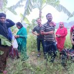 দর্শনা সীমান্তে পুশইনের চেষ্টা