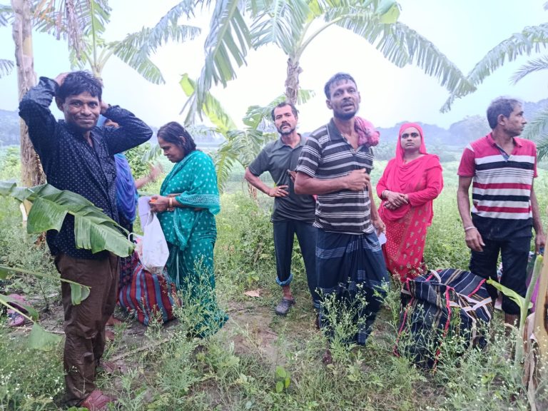 দর্শনা সীমান্তে পুশইনের চেষ্টা