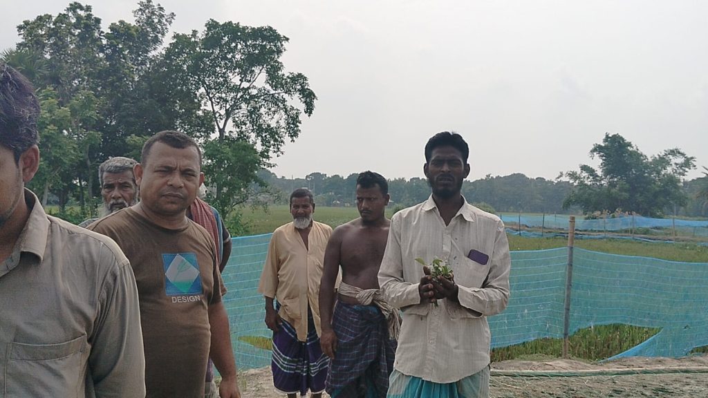 রাজবাড়ী সবজি ক্ষেত বিনষ্ট