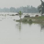 তিস্তার পানি বিপদসীমার ওপরে