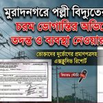 জামানতের টাকা জমা, দালালকে ৫ হাজার, ১৯ বার অফিসে ঘুরেও মেলেনি বিদ্যুতের মিটার! 4 জামানতের টাকা জমার আড়াই বছর পার, বিদ্যুৎ সংযোগের অপেক্ষায় এক পরিবার