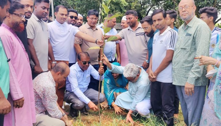 বগুড়ার টিএমএসএস মাদ্রাসায় বৃক্ষরোপণ কর্মসূচির উদ্বোধন