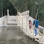 সুন্দরগঞ্জে অ্যাপ্রোচ সড়কবিহীন কোটি টাকার সেতু, বাঁশের সাঁকো দিয়ে ঝুঁকিপূর্ণ পারাপারের দৃশ্য
