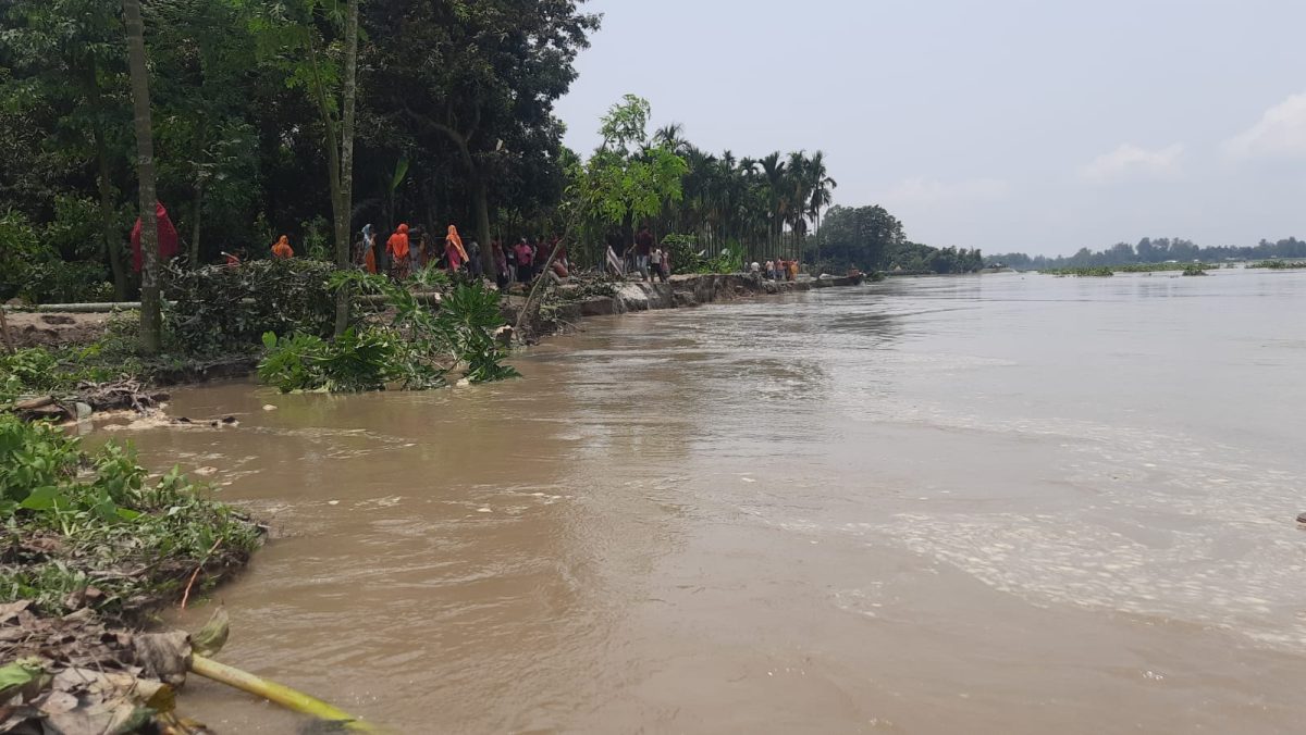 উজানের ঢলে কুড়িগ্রামে তিস্তার পানি দ্রুত বৃদ্ধি, প্লাবিত হতে শুরু করেছে চরাঞ্চল
