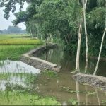 লালমনিরহাটের আদিতমারী উপজেলার ইজিপিপি খাল খনন প্রকল্পে শ্রমিকের পরিবর্তে যন্ত্র ব্যবহারের অভিযোগে চলমান কাজের দৃশ্য।