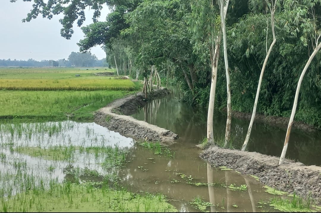 আদিতমারীতে খাল খনন প্রকল্পে অনিয়মের অভিযোগ, শ্রমিক তালিকায় বিএনপি নেতার মোবাইল নম্বর
