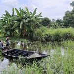 মরা খালের আর্তনাদ: কুমিল্লার মুরাদনগরে হারিয়ে যাচ্ছে কাজিয়াতলের মাছ শিকারের শতবর্ষের ঐতিহ্য 3 কুমিল্লার কাজিয়াতল গ্রামে মরা খালে বৈঠা হাতে নৌকায় বসে আছেন দুইজন ব্যক্তি। পাশে কলাগাছ ও ঝোপঝাড় দেখা যাচ্ছে।