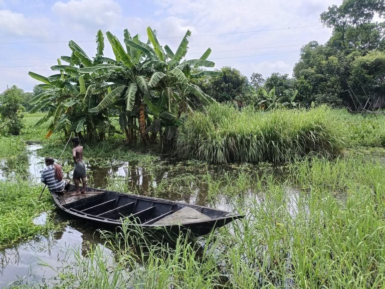 মরা খালের আর্তনাদ: কুমিল্লার মুরাদনগরে হারিয়ে যাচ্ছে কাজিয়াতলের মাছ শিকারের শতবর্ষের ঐতিহ্য 1 কুমিল্লার কাজিয়াতল গ্রামে মরা খালে বৈঠা হাতে নৌকায় বসে আছেন দুইজন ব্যক্তি। পাশে কলাগাছ ও ঝোপঝাড় দেখা যাচ্ছে।