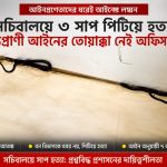 সচিবালয়েই সাপ হত্যা: আইন কি শুধু সাধারণ মানুষের জন্য? 2 যেখানে আইন তৈরির কারিগররা বসেন, সেখানেই আইনের তোয়াক্কা নেই—সচিবালয়ে ৩ সাপ পিটিয়ে হত্যা!