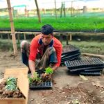 ময়নামতিতে কোকোপিটে চারা, বাড়ছে খরচ কমছে কৃষকের লাভ 3 ময়নামতিতে কোকোপিটে চারা, বাড়ছে খরচ কমছে কৃষকের লাভ