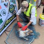বাগেরহাটে জলাতঙ্ক ঠেকাতে কুকুরে টিকা অভিযান, তিন মাসে ৭ হাজার ৫০০ মানুষ আক্রান্ত 4 বাগেরহাটে জলাতঙ্ক ঠেকাতে কুকুরে টিকা অভিযান, তিন মাসে ৭ হাজার ৫০০ মানুষ আক্রান্ত