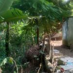 সালিশে রাস্তা নির্ধারণের পরও বন্ধ, জুড়ীতে প্রাণনাশের হুমকির অভিযোগ 2 সালিশে রাস্তা নির্ধারণের পরও বন্ধ, জুড়ীতে প্রাণনাশের হুমকির অভিযোগ