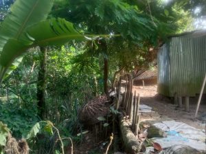 সালিশে রাস্তা নির্ধারণের পরও বন্ধ, জুড়ীতে প্রাণনাশের হুমকির অভিযোগ