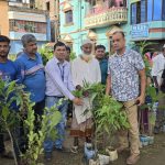 দেবীদ্বারে সাজেদা ফাউন্ডেশনের ১২০০ চারা বিতরণ 2 দেবীদ্বারে সাজেদা ফাউন্ডেশনের উদ্যোগে উপকারভোগীদের মাঝে বিভিন্ন জাতের গাছের চারা বিতরণ করা হচ্ছে।