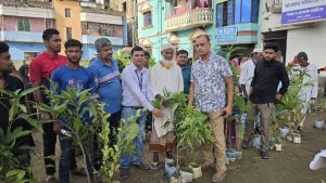 দেবীদ্বারে সাজেদা ফাউন্ডেশনের ১২০০ চারা বিতরণ