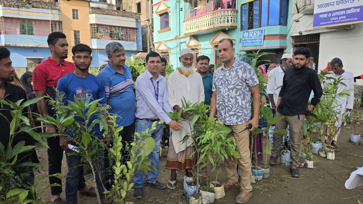 দেবীদ্বারে সাজেদা ফাউন্ডেশনের ১২০০ চারা বিতরণ