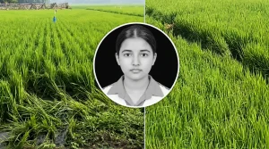 কুমিল্লায় ধানক্ষেতে স্কুলছাত্রীর মরদেহ, হত্যার আগে ধস্তাধস্তির চিহ্ন
